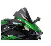 Bodystyle Écran racing noir-teinté avec ABE