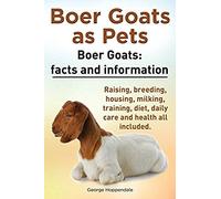 Boer Goats As Pets. Boer Goats Facts And Information. Raising, Breeding, Housing, Milking, Training, Diet, Daily Care And Health.