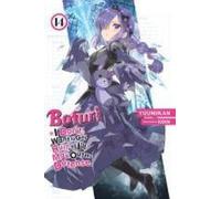 Bofuri : Je ne veux pas être blessé, alors je vais maximiser ma défense, Vol. 14 (Light Novel)