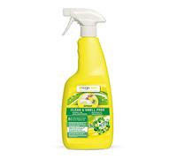 BOGACLEAN Spray Propre et sans Odeur