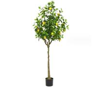 BOGAZY Arbre Artificiel Citronnier Artificiel, Fausses Plantes, Décoration Intérieure Et Extérieure pour La Maison, Le Bureau, Salon, Porche Plante Décoratif(180cm)