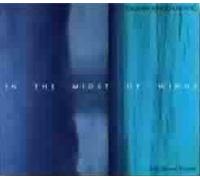 Bogdanovic, Dusan - in The Midst Winds [Import]