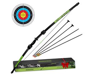 Bogenkönig Set d'arc et flèches pour Enfants à partir de 7 Ans - Force de Traction de 6,8 kg - Inclus Une Cible à Ventouse et Une flèche avec Pointe - développe Les Talents de Votre Enfant !