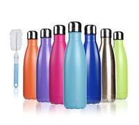 BOGI 17oz Insulated Water Bottle Double Wall Vacuum Stainless Steel Bottle Leak Proof Keeps Hot and Cold Drinks for Outdoor Sports Camping Hiking Cycling, Comes with a Cleaning Brush Gift(Mint)