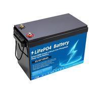 BOGJFC 24V 100Ah Batterie LiFePO4 Cycle Profond 2560Wh for Camping Car Stockage Solaire Domestique Avec BMS Boîtier ABS IP55 Bornes M8 440×245×315mm 16.3kg