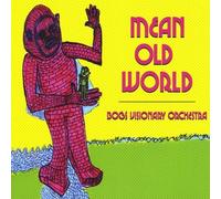 Bogs Visionary Orchestra - Mean Old World