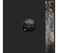 Bohm - Scientific Relevance Ep