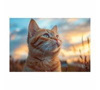 BOHUO Animal Impression sur Toile Decoration Murale Peinture Mignon Paysage naturel Tableau décoration moderne imprimé sur toile pour Chambre Cuisine Bar(Orange 20)-60x80cm Sans cadre