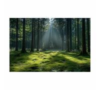 BOHUO Forêt mousseuse Rayons de soleil Peinture murale - Grands arbres et verdure imprimé - Nature pour le salon chambre à coucher Home Office-50x70cm Sans cadre