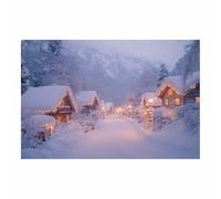 BOHUO Impression sur toile de paysage d'hiver et de neige Paysages d’hiver Décoration murale pour salon et chambre Scintillait fleurs nature plantes(Bleu 24)-30x45cm Sans cadre