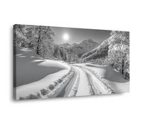 BOHUO Impression Sur Toile XXL Tableaux Hiver Forêt Noir et blanc Tableau Neige Paysage - Decoration Murale Salon Moderne - Image sur Toile(Blanc 50)-30x60cm Encadrée