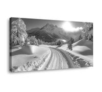 BOHUO Moderne Impression sur Toile hiver paysage Noir et blanc photos peintures sur toile Décoration murale pour le salon,Décorations d’intérieur(Blanc 68)-40x80cm Encadrée