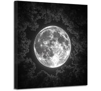 BOHUO Tableau sur toile Forêt pleine lune noir blanc, Ciel nocturne céleste déco murale maison intérieur(Gris 119)-20x20cm Encadrée