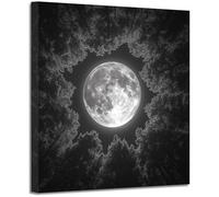 BOHUO Tableau sur toile Forêt pleine lune noir blanc, Ciel nocturne céleste décoration murale maison intérieur(Ivory 135)-60x60cm Encadrée