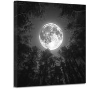 BOHUO Tableau sur toile Forêt pleine lune noir blanc, Ciel nocturne céleste décoration murale maison intérieur(Beige 74)-40x40cm Encadrée