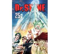 Boichi – Dr. STONE, Vol. 25 – Viz Media
