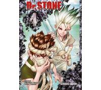 BOICHI Riichiro Inagaki Dr. Stone 4: Verrückte Abenteuer, Action und Wi (Poche)