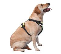 Boire Un Cocktail glacé au Citron,Harnais pour Animaux de Compagnie, Harnais réfléchissant réglable pour Chien,XL
