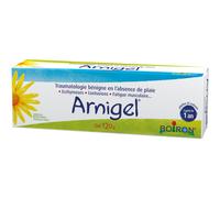 Boiron Arnigel Ecchymoses/Contusions/Fatigue Musculaire Tube 120g