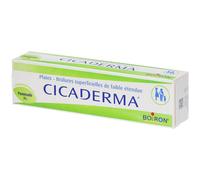 Boiron Cicaderma® Pommade(S) 30 g