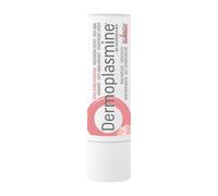 Boiron Dermoplasmine Stick lèvres Hydratant et apaisant Rouge(S) À Lèvres 4 g