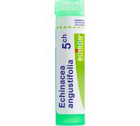Boiron Echinacea 5CH Granules 4g