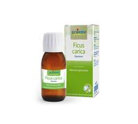 Boiron Ficus Carica Biloba 60ml