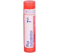 BOIRON Rhus Toxicodendron 7 ch Granulés 80 g