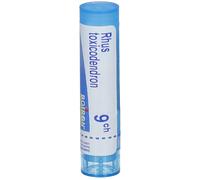BOIRON Rhus Toxicodendron 9 ch Granulés 80 g