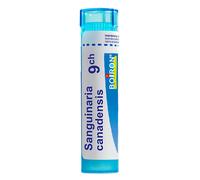 Boiron Sanguinaria Canad 9 ch Granulés 4 g