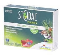 Boiron Stodal Plantes Pastilles nez, gorge & bronches Citron Pastille(S) À Sucer 36 pc(s)