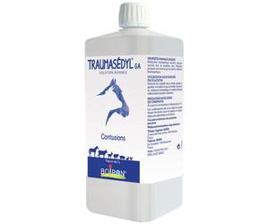 Boiron Traumasedyl GA Contusions Flacon 1l