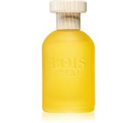 Bois 1920 Cannabis Fruttata Eau de Parfum mixte 100 ml