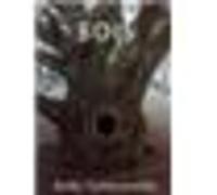 Bois Andy Goldsworthy (Auteur), Terry Friedman (Préface), William Olivier Desmond (Traduction)