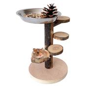 Bois Bois Chambre de Petits Animaux Centre de Travail d'escalier - Zone de rongeurs Rampe Enrichissement des Animaux Ordre Ascendant Jouet avec Plateau de Support en Inoxydable