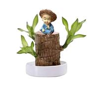 Bois Bresilien Plante Bonsai, Mini Bois Bresilien Porte-Bonheur Facile à Cultiver, Germer Fleur Bois Porte Bonheur, Plante Hydroponique en Bois BréSilien, Naturelle Verte Plantes d'Intérieur