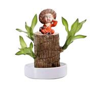 Bois Chanceux Brésilien,Mini Bois Chanceux Du Brésil,Décoration En Bois Brésilien,Mini Bois Porte-Bonheur Du Brésil,Chanceux Brésilien Purifier L'air Intérieur,Décoration D'Intérieur Bureau