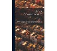 Bois Communaux: Examen, Critique Et Défense Des Droits Des Habitants De La Ville De Lormes Sur Les Bois Des Anciens Seigneurs