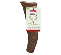 Bois De Cerf Naturel À Mastiquer Friandise Chien Plus De 20kg Hard - Zolux