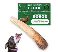 Bois de cerf pour Chien a Macher Entier Taille M Friandise pour Chiots et Chiens de Tout ges Jouet Mastication 1 pice