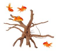 Bois flotté pour Aquarium, Natrual Aquarium en Bois flotté, 4 à 6 Pouces Grand Corail Aquarium en Bois flotté en Forme aléatoire décoratif pour Le coqueluche à Poisson