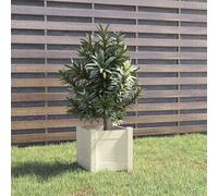 Bois Massif de Pin Jardinière d'Extérieur Blanc 31x31x31 cm Jardin vidaXL