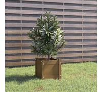 Bois Massif de Pin Jardinière d'Extérieur Marron Miel 31x31x31cm Jardin vidaXL