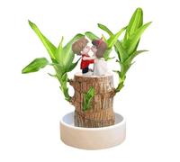 Bois Porte-Bonheur, Mini Plante de Souche Hydroponique en Pot, Bois du Brésil Chanceux à Germination Magique avec Statue de Couple, Plante de Bureau D'intérieur pour Purifier l'air