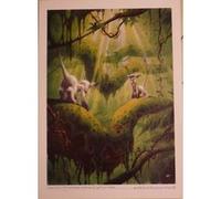 BOISCOMMUN Olivier - 50x70 cm - AFFICHE / POSTER G