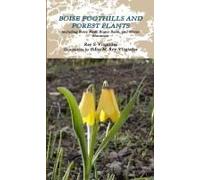 Boise Foothills And Forest Plants