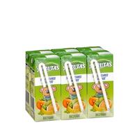 Boisson 5 fruits Hacendado sans sucres ajoutés - lot de 6 - 6 mini briques de 200 ml