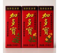 Boisson au thé aux herbes JDB 250ml x 6