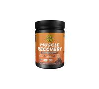 Boisson de recuperation goldnutrition muscle recovery chocolat 900g