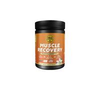Boisson de recuperation goldnutrition muscle recovery vanille 900g